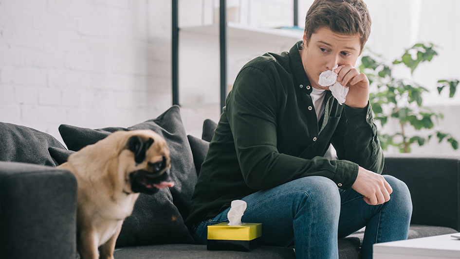 Purchasing an air purifier is one of the top approaches to boost your home’s indoor air quality. Learn more about the three top solutions. 